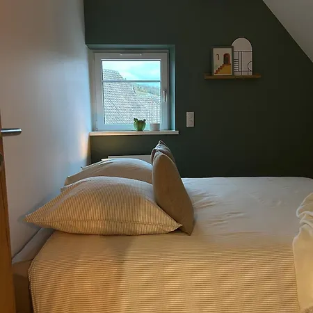 Avec Vue Sur Les Vignes * Ammerschwihr