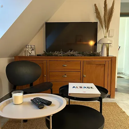 Apartment Avec Vue Sur Les Vignes Ammerschwihr